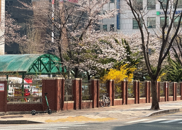 62cb652f816c7c6e0fac2b3c02eb9935_1774855537_8965.jpg 62cb652f816c7c6e0fac2b3c02eb9935_1774855537_8965.jpg