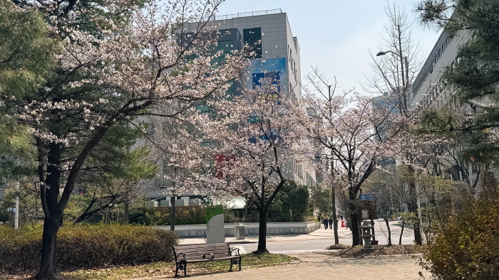 62cb652f816c7c6e0fac2b3c02eb9935_1774855538_4846.jpg 62cb652f816c7c6e0fac2b3c02eb9935_1774855538_4846.jpg